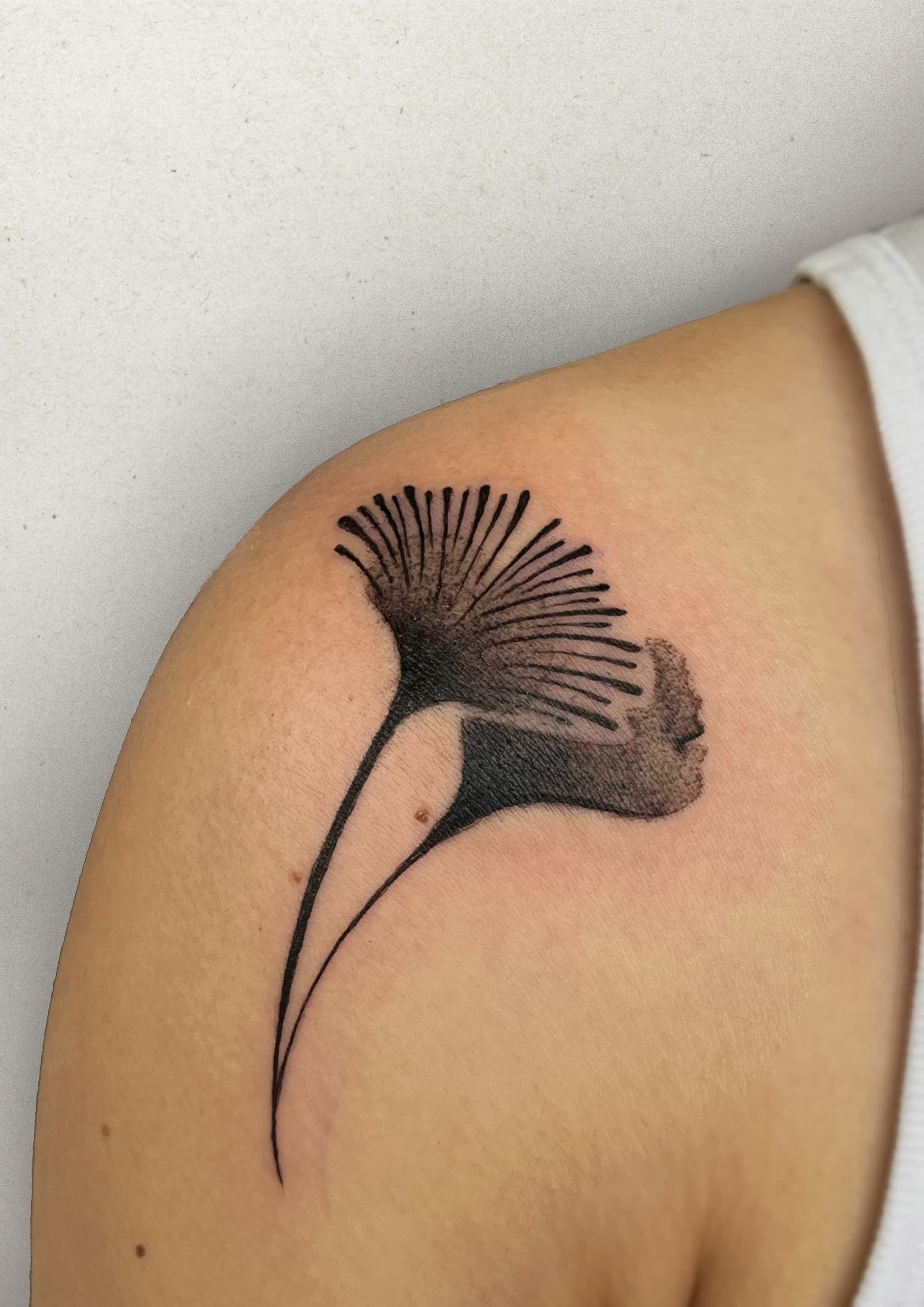 Portfolio image 7