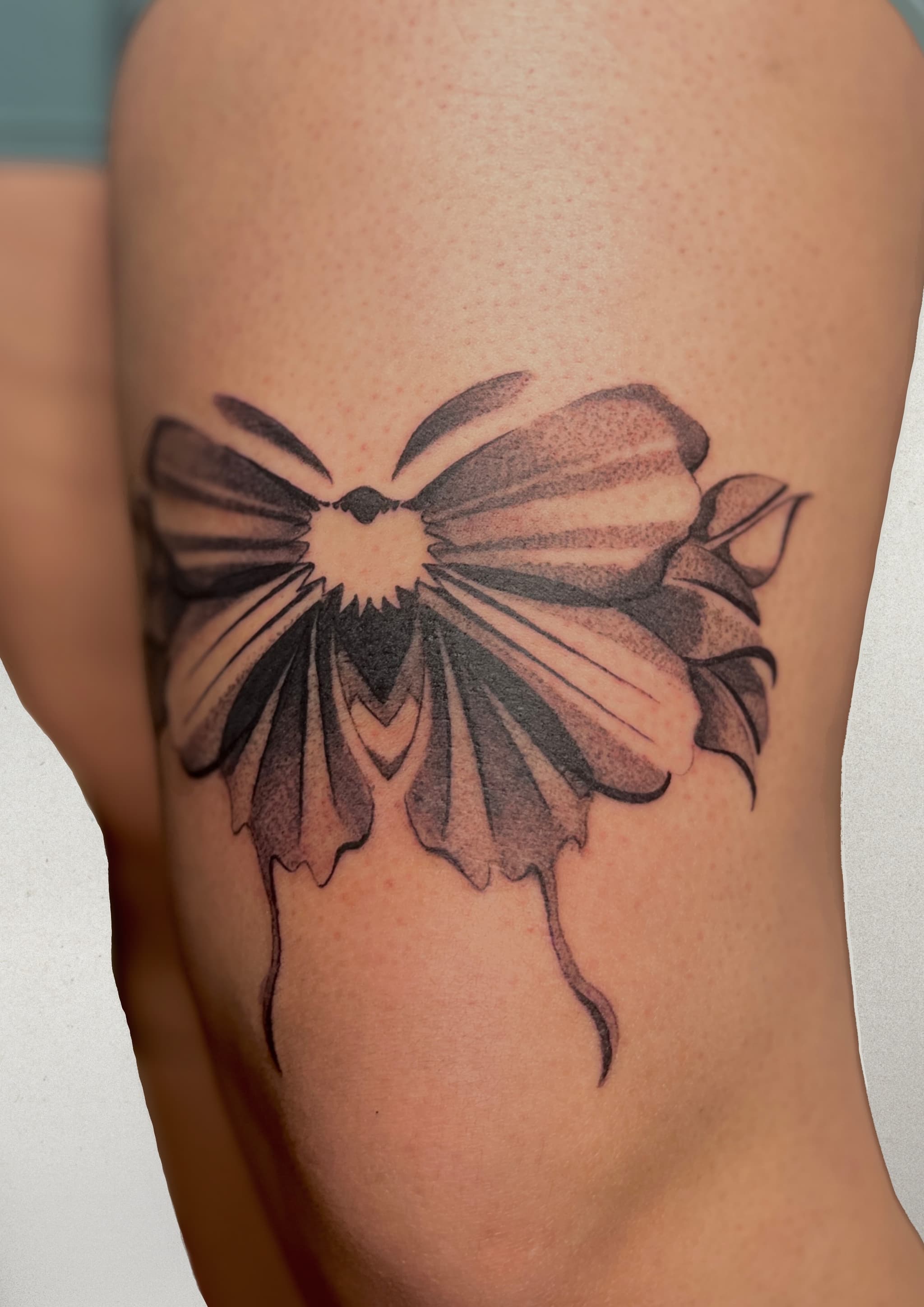 Portfolio image 11